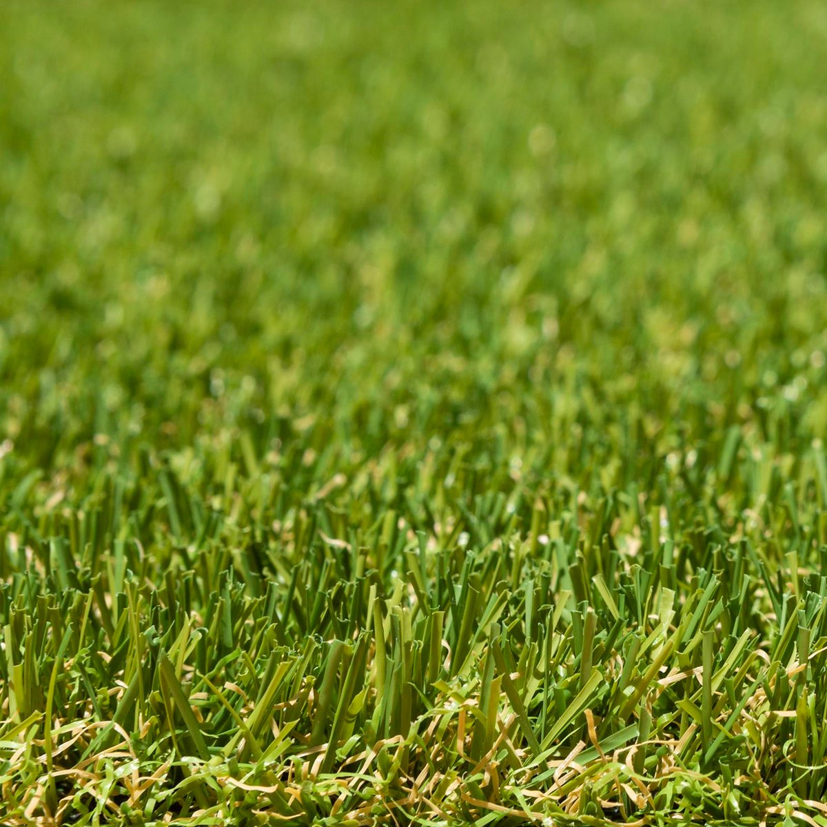 DIY Turf Lifestyle 1 x 4m 20mm Pile Green/Yellow PP Synthetic Prepack