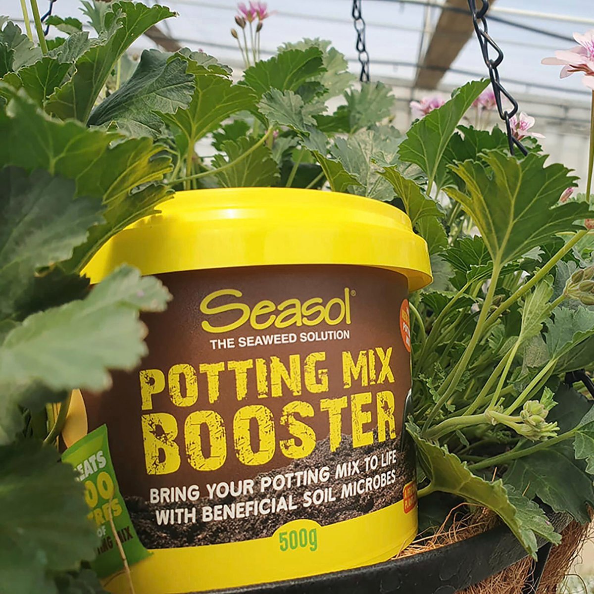 Seasol 500g Potting Mix Booster Tub - Slow Release Granular Fertiliser