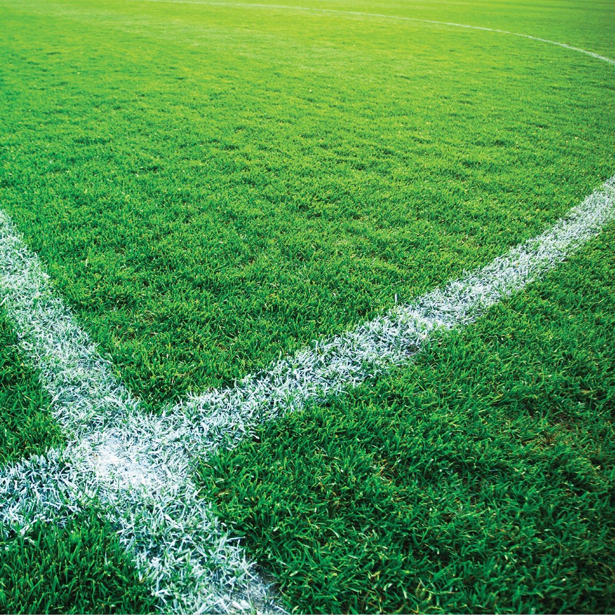 Dy-Mark Turf Master Grass Marking Paint 500g White UV Resistant Waterproof