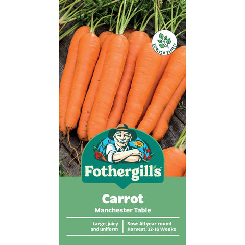 Mr Fothergill's Manchester Table Carrot Seeds - Long Cylindrical Rich-Coloured Roots