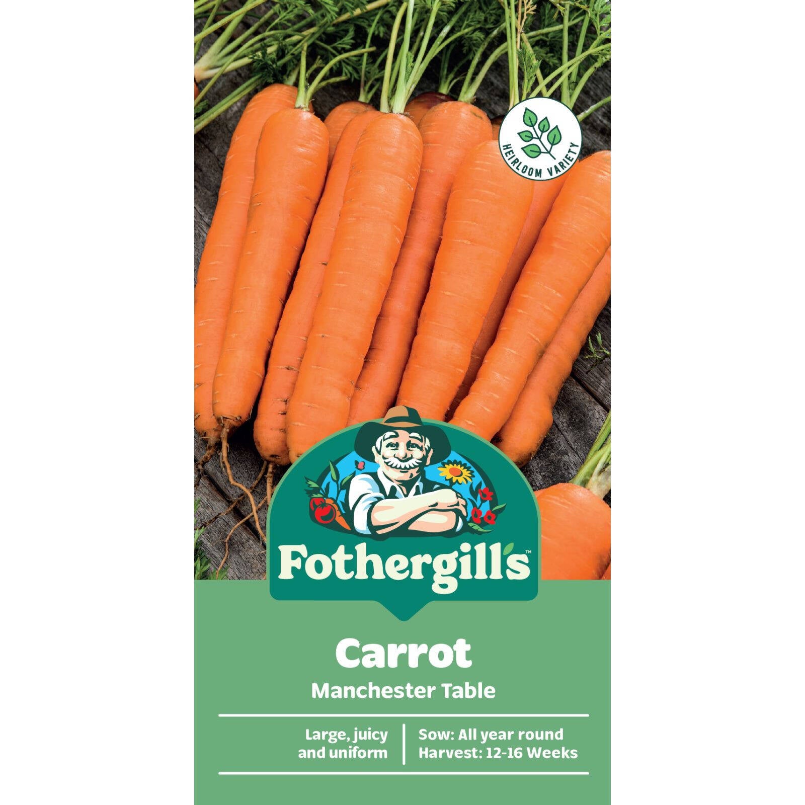 Mr Fothergill's Manchester Table Carrot Seeds - Long Cylindrical Rich-Coloured Roots