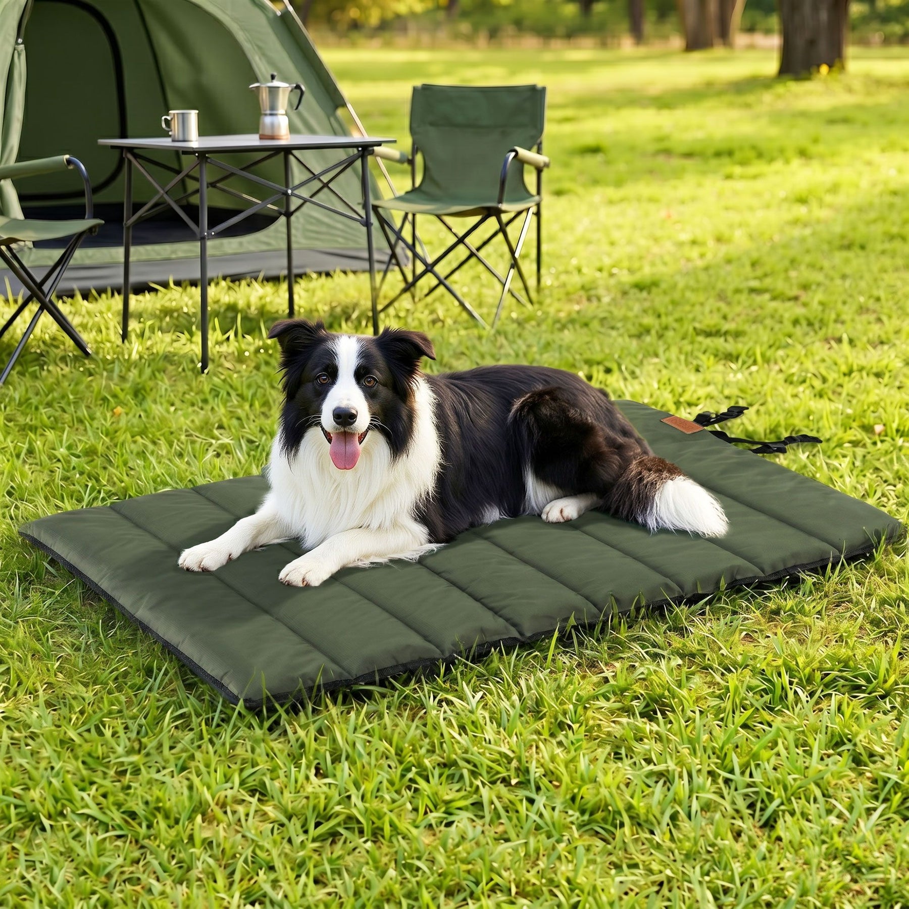 i.Pet Outdoor Dog Bed Large Foldable Travel Mat - Green