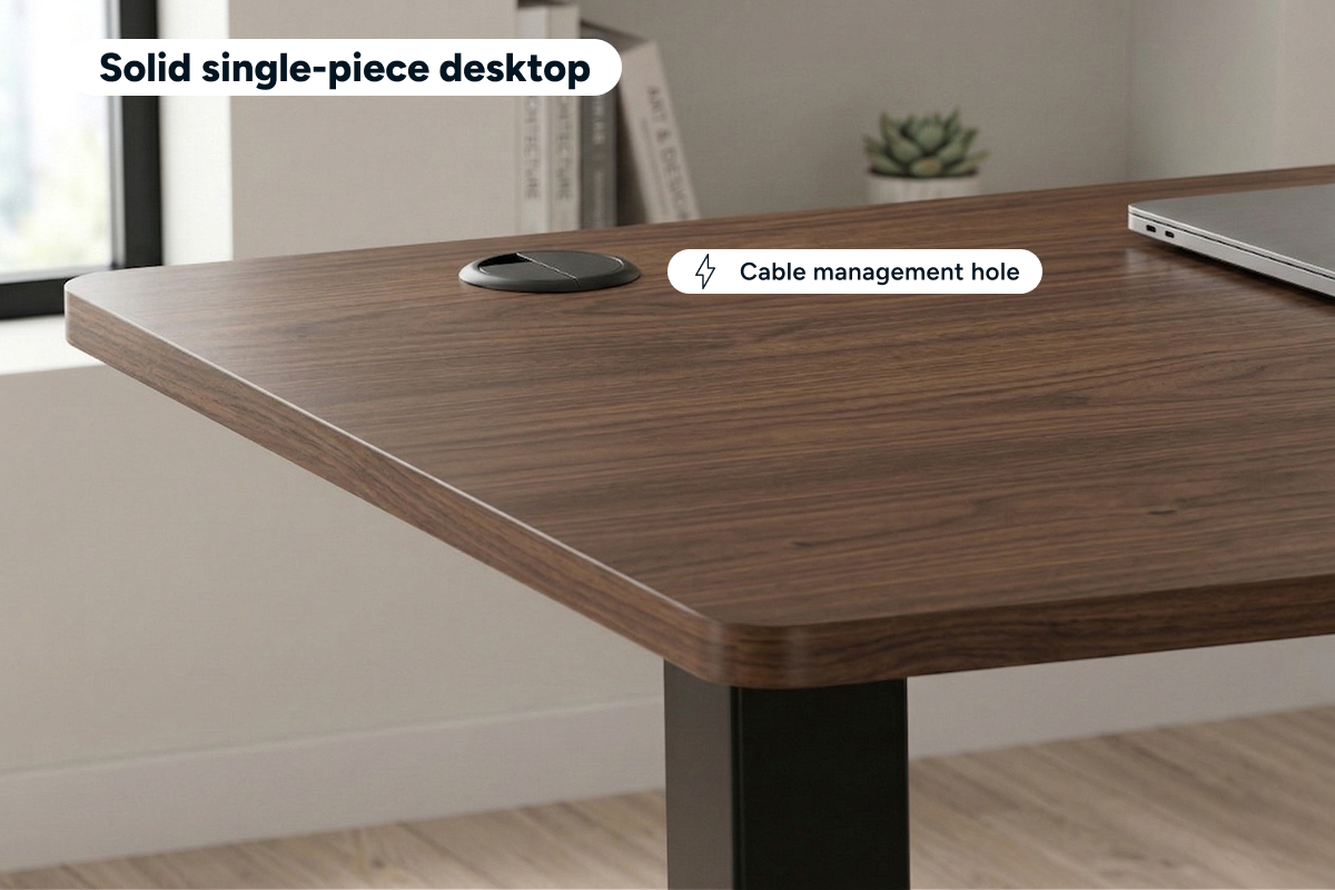 Ergolux Electric Standing Desk 90 x 60cm (Walnut/Black)