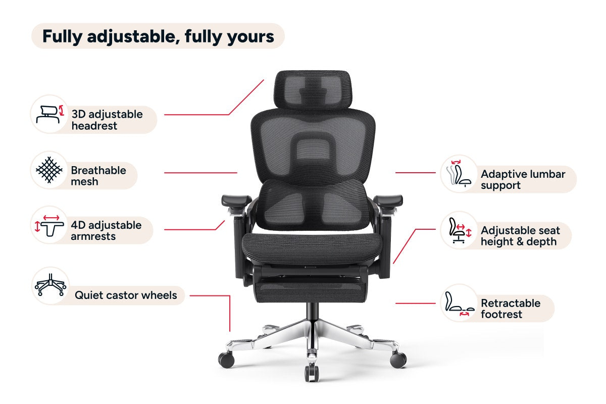 Ergolux Elite Ergonomic Mesh Office Chair with Footrest (Black)