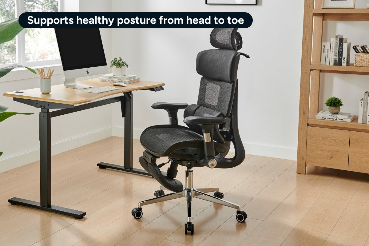 Ergolux Plus Ergonomic Mesh Office Chair with Footrest (Black)