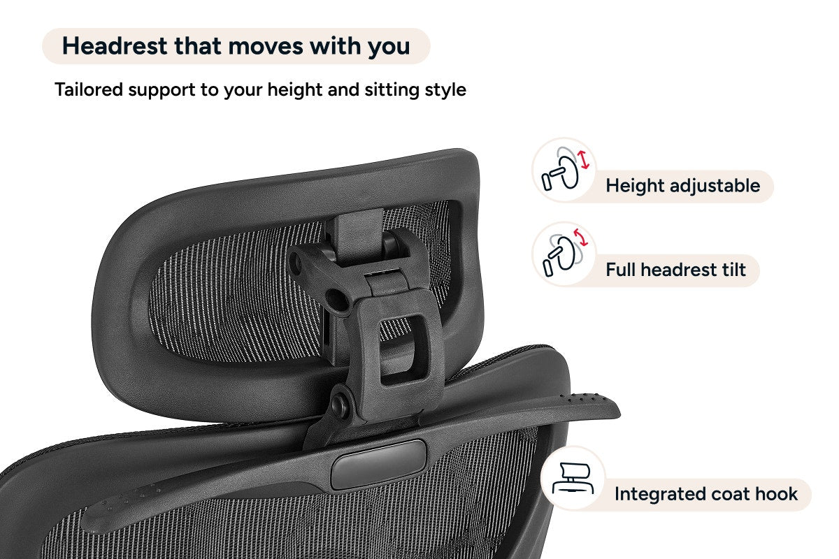Ergolux Plus Ergonomic Mesh Office Chair with Footrest (Black)