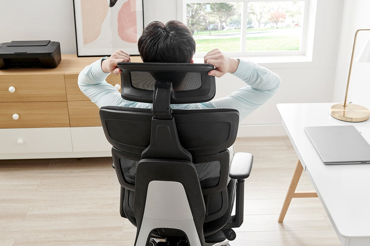 Ergolux Pro Max Ergonomic Mesh Office Chair with Footrest (Black)