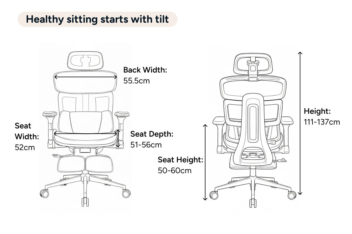 Ergolux Pro Max Ergonomic Mesh Office Chair with Footrest (Black)