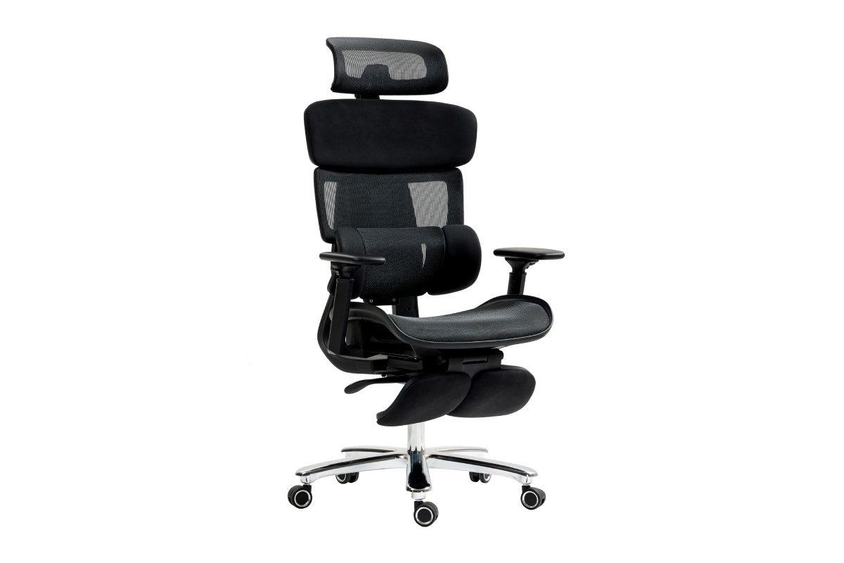 Ergolux Pro Max Ergonomic Mesh Office Chair with Footrest (Black)