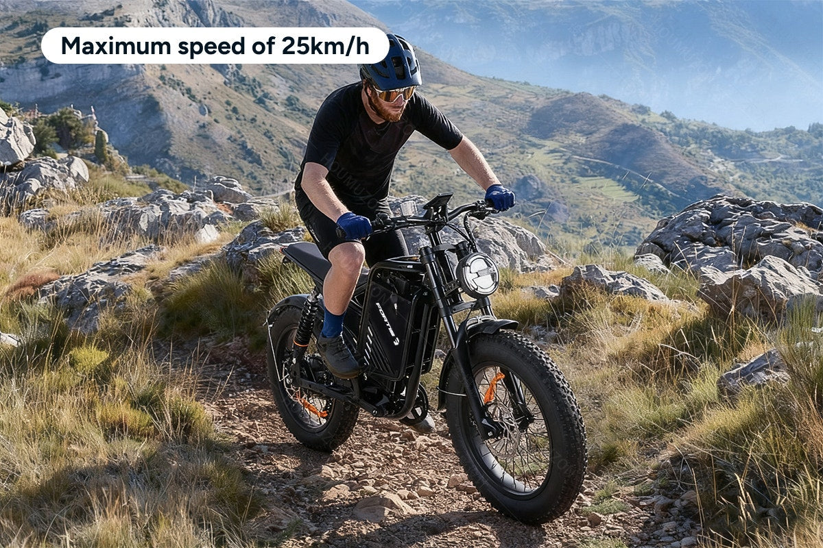 Fortis FatBro Plus 48V 13Ah Fat Tyre Electric Bike