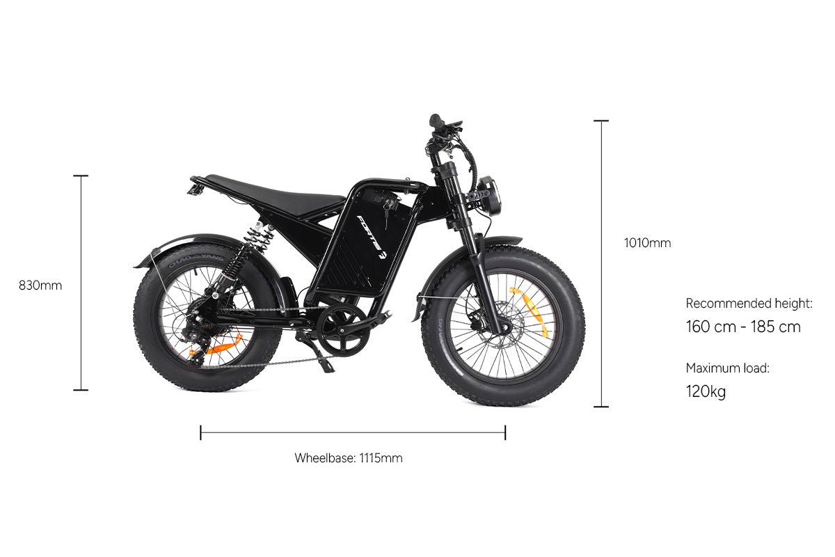 Fortis FatBro Plus 48V 13Ah Fat Tyre Electric Bike