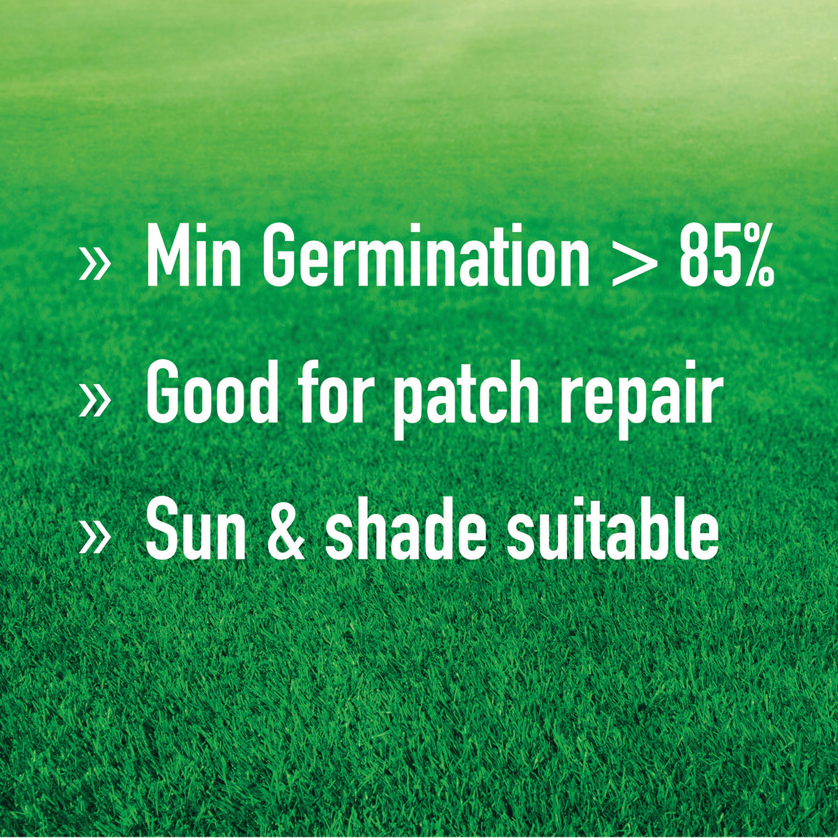 Munns Professional 2.5kg Couch Lawn Seed Blend Drought Tolerant