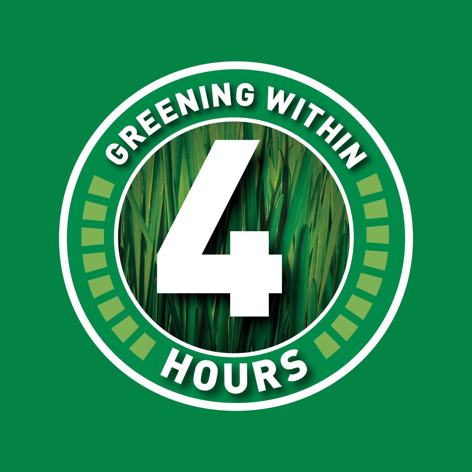 Munns Professional 1L Green Dominator Liquid Lawn Fertiliser Concentrate