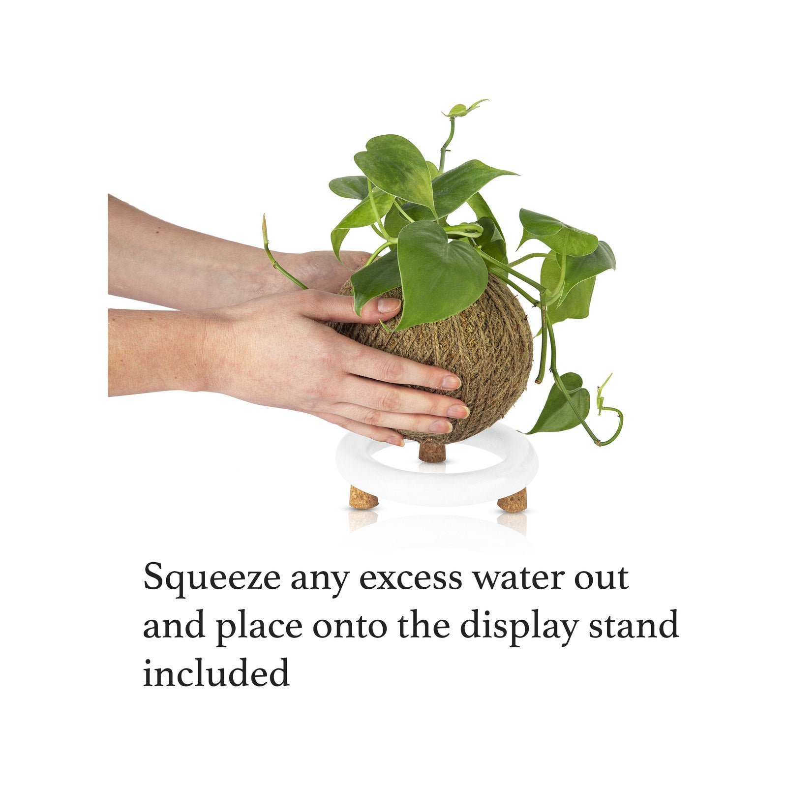 Kokedama Kit with Ceramic Stand and Twine