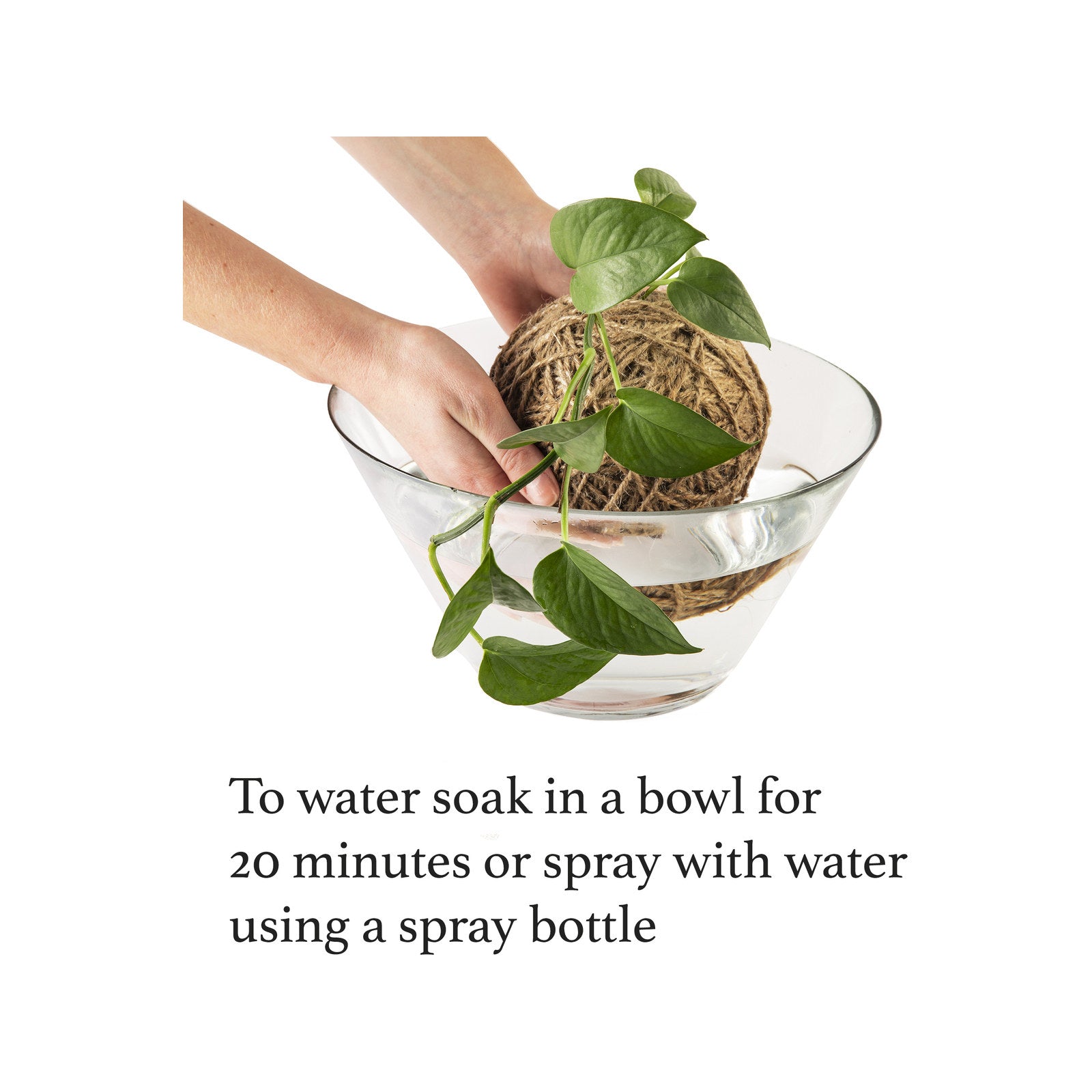 Kokedama Kit with Ceramic Stand and Twine