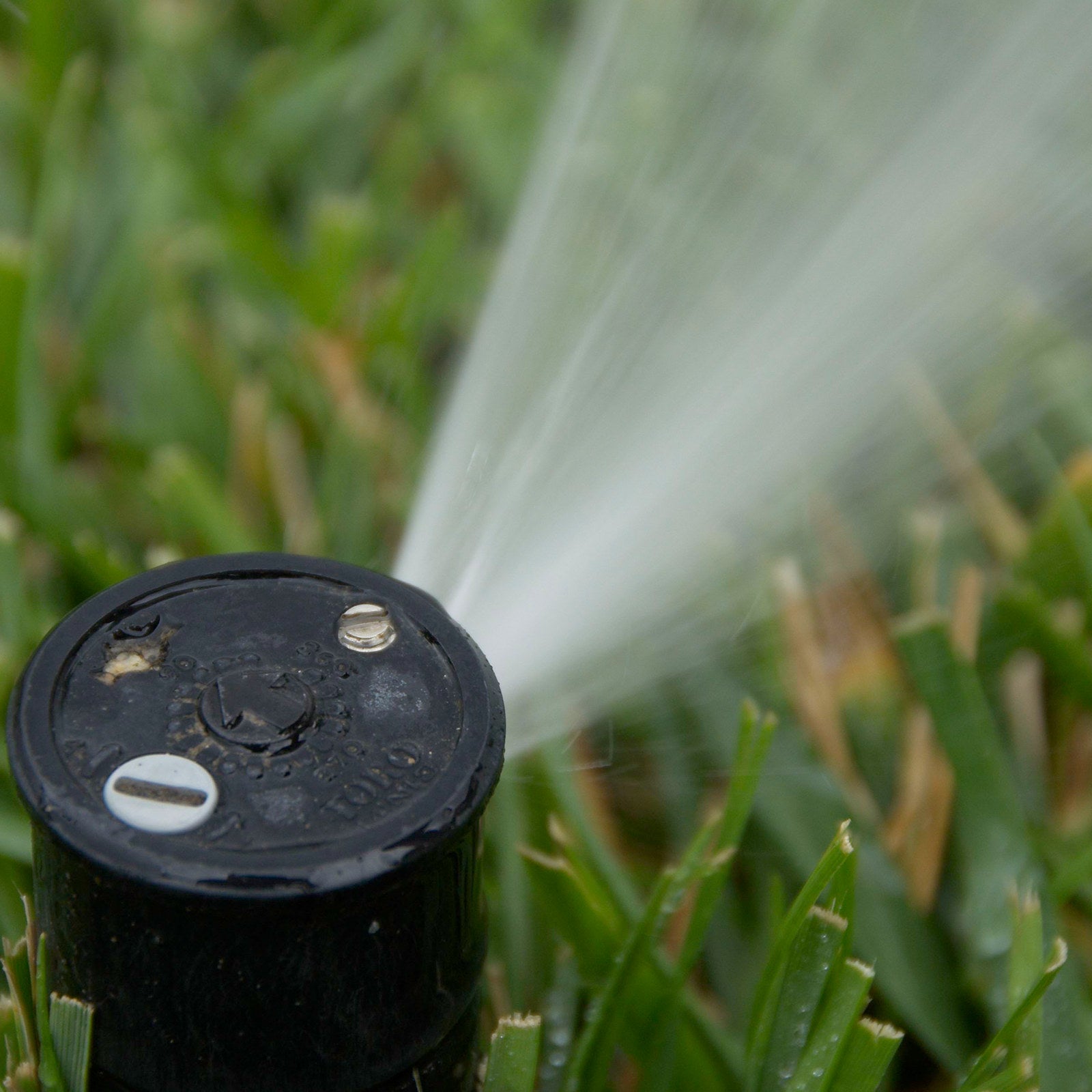 Toro 15mm Mini 8 Series Rotor Sprinkler 53824-R
