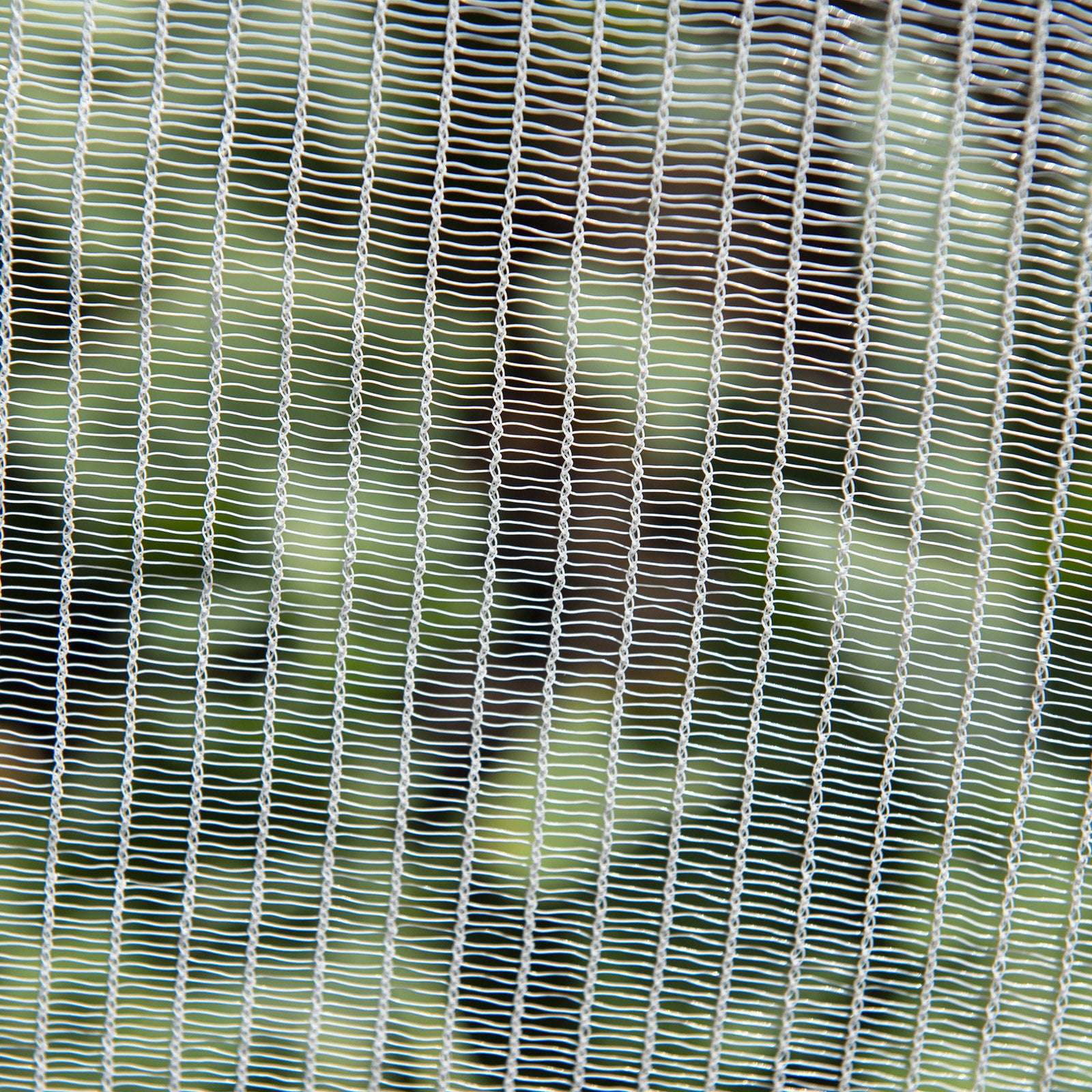 Backyard Farmer Anti Bird Net 4 x 4m, 5mm Mesh