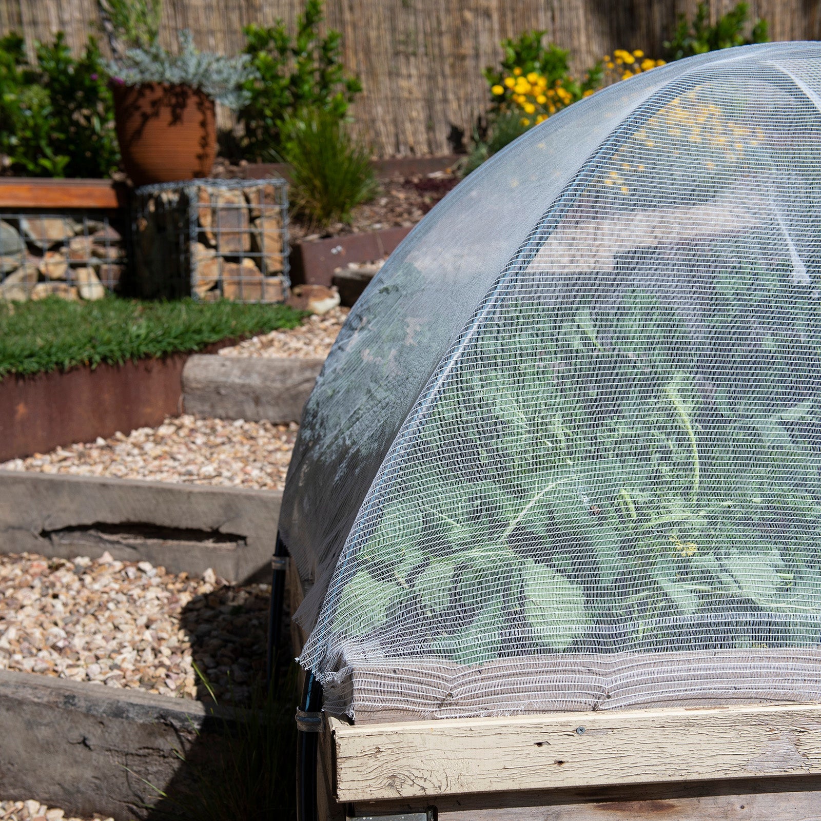 Backyard Farmer Anti Bird Net 4 x 4m, 5mm Mesh