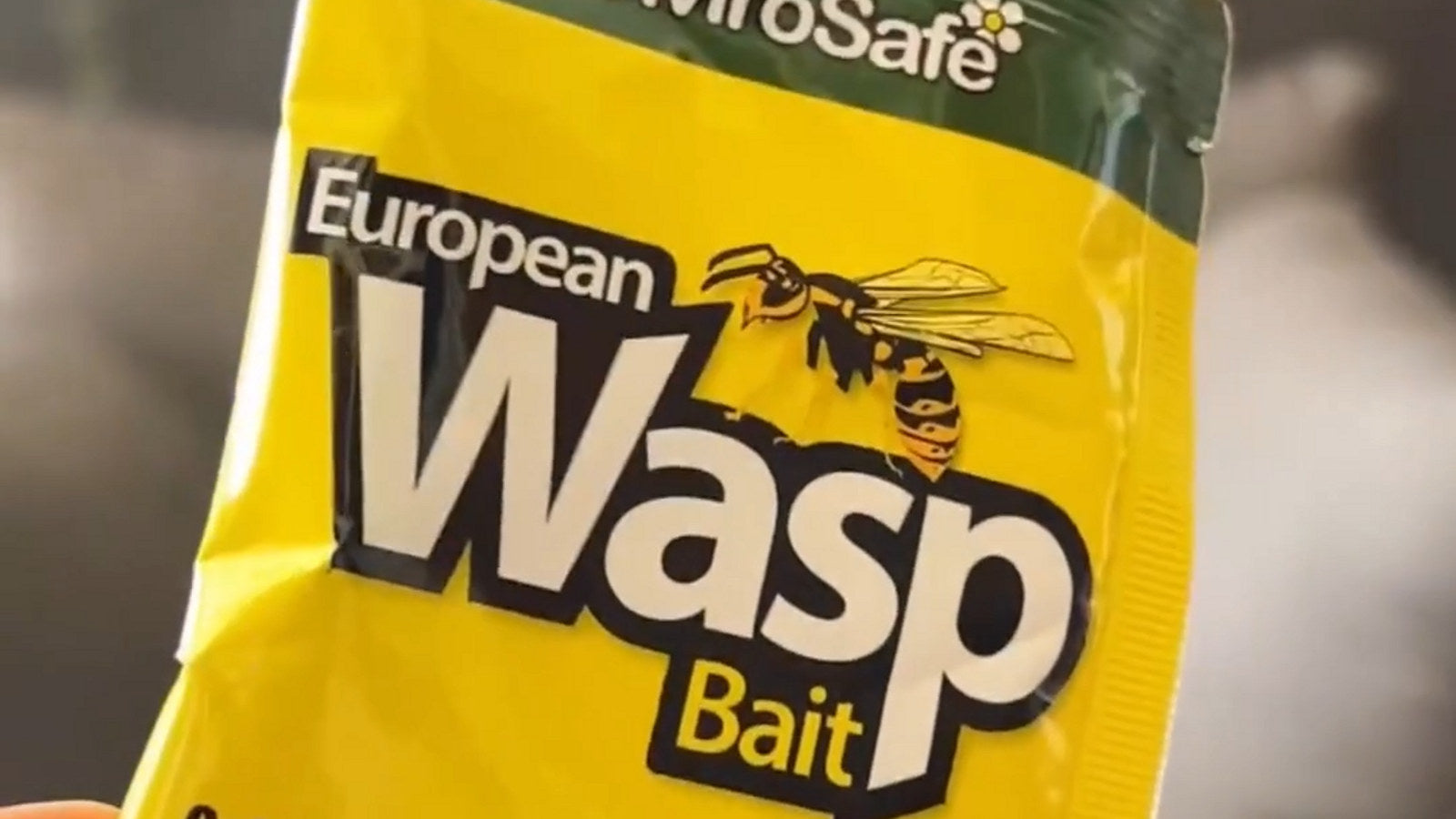 Envirosafe European Wasp Trap with Powder Bait