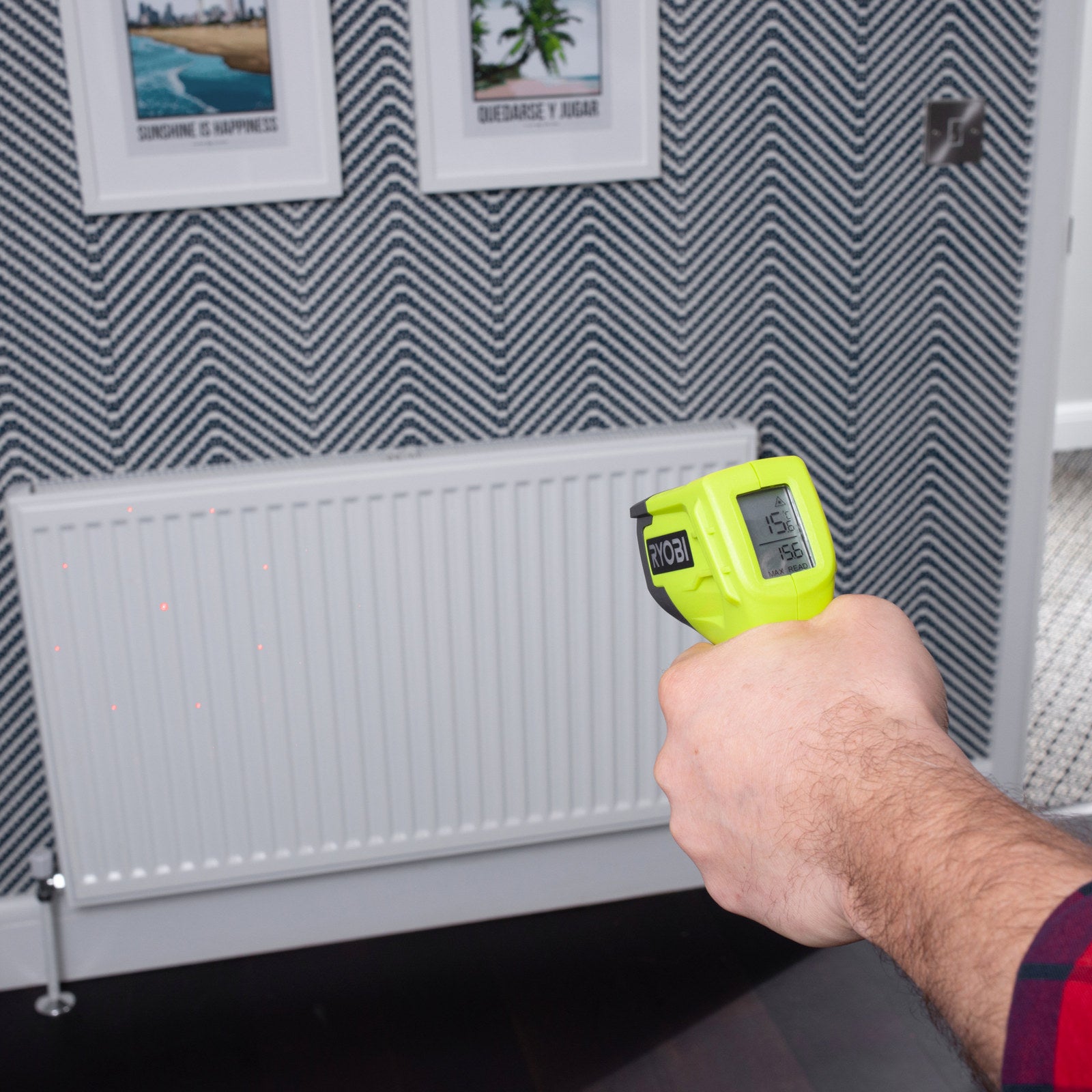 Ryobi 8 Dot Infrared Thermometer RTHMG
