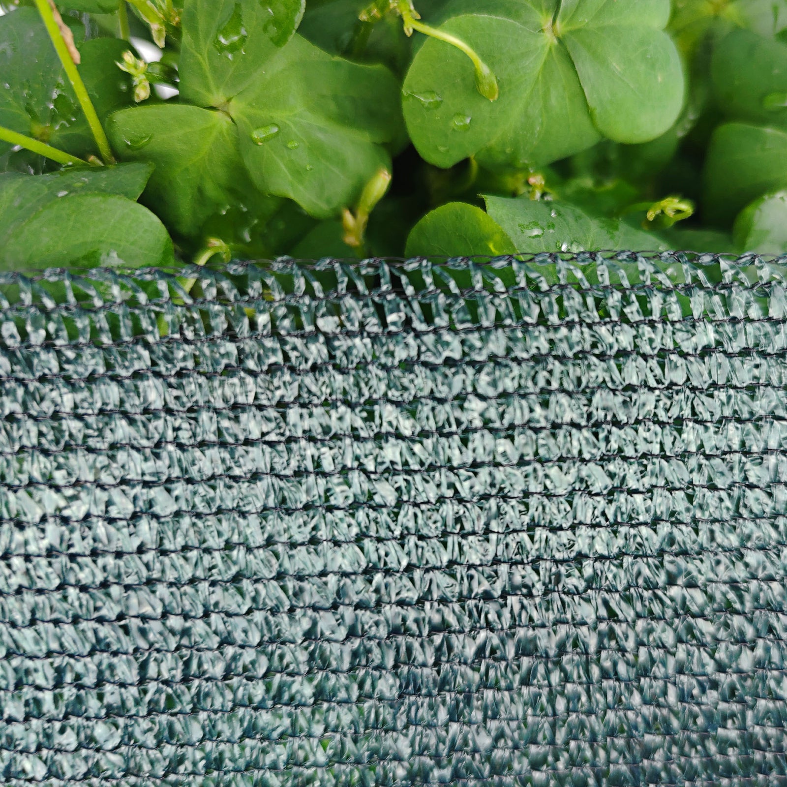 Pillar 3.66 x 10m Green 90% UV Shade Cloth