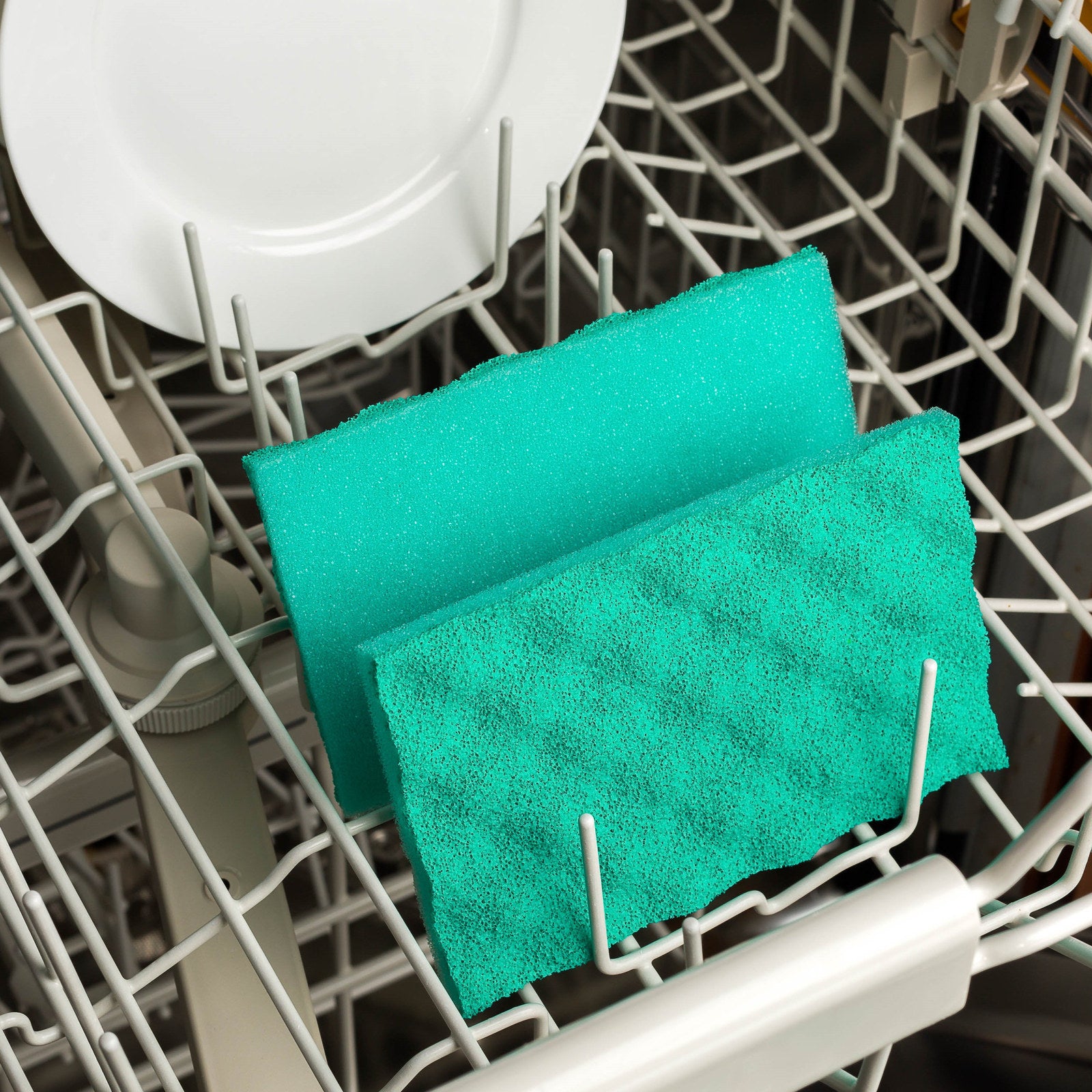 Vileda PUR Active Non-Scratch Flat Scourer - 2 Pack