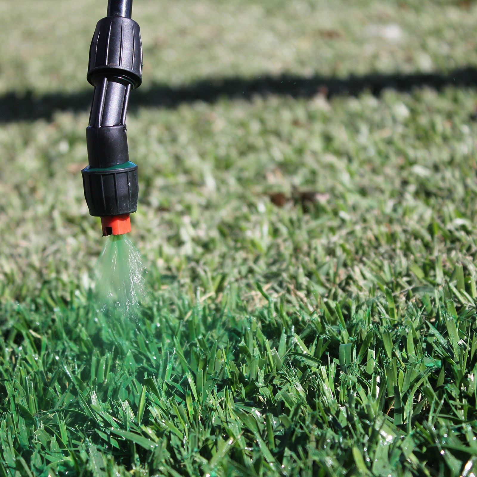 Lawn Solutions Australia ColourGuard Plus Concentrate Liquid Fertiliser 100ml