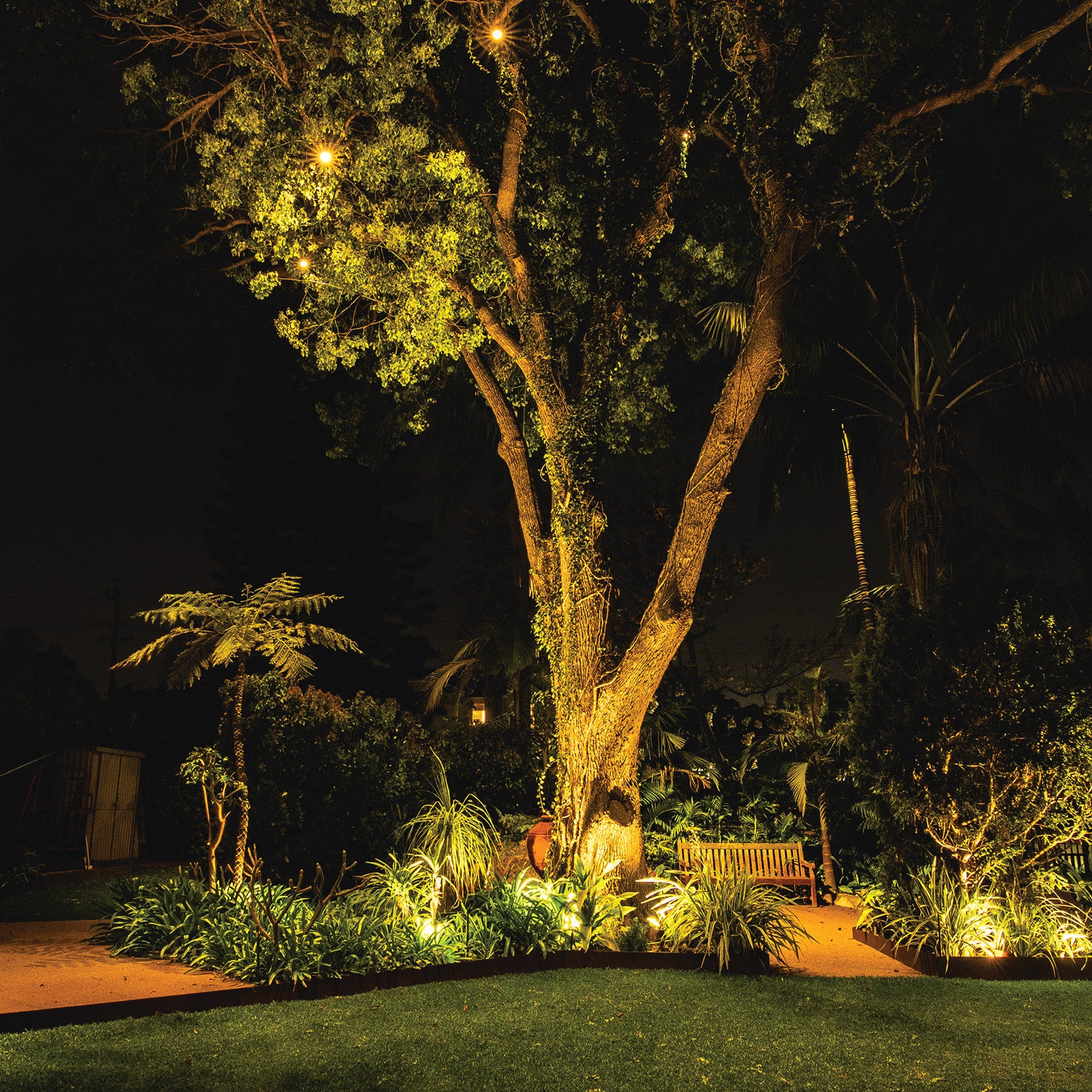 Holman Hanging Tree Light Value Pack PTLW433K - 6 Globes, 3W 12V IP67 Warm White Outdoor