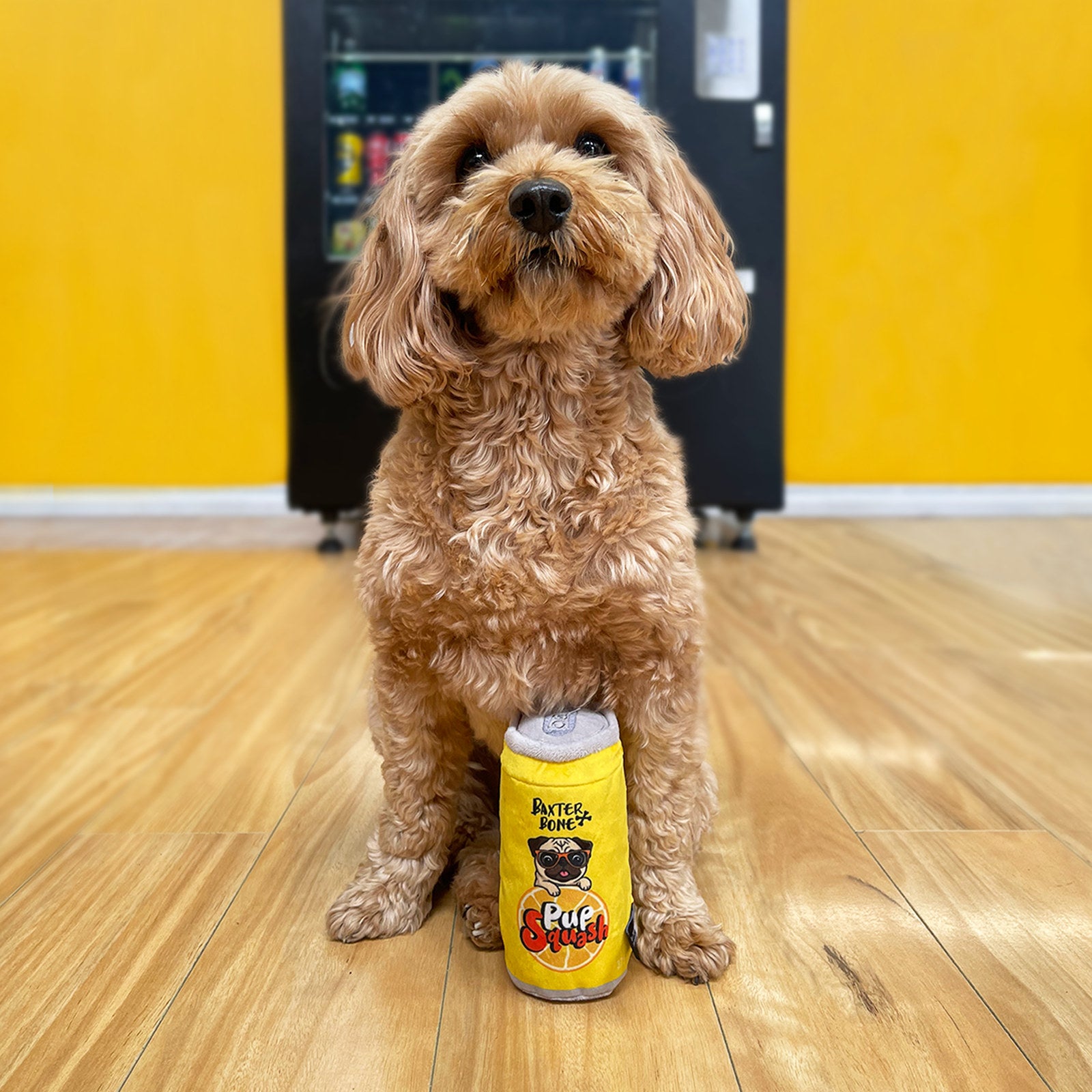Baxter Bone Pup-Squash Soda Can Plush Dog Toy - Squeaker & Crinkle