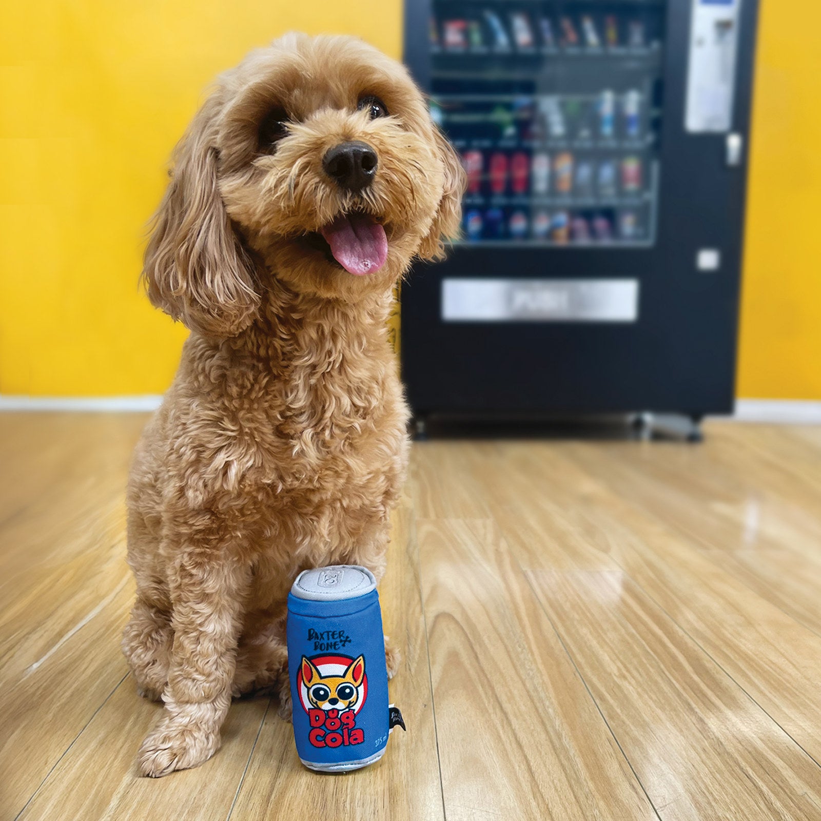 Baxter Bone Cola Soda Can Plush Dog Toy - Squeaker & Crinkle