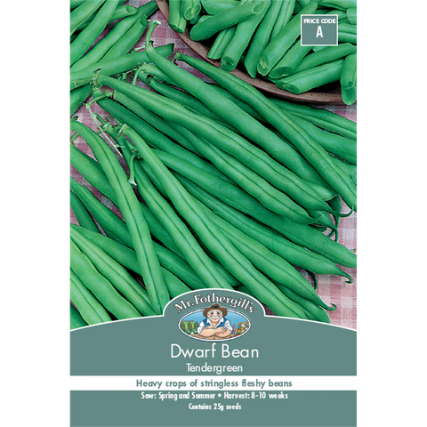 Mr Fothergill's Tendergreen Dwarf Bean Seeds - 60cm Stringless Green Pods
