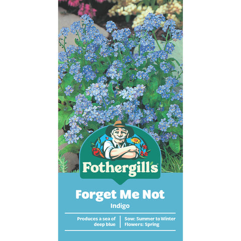 Mr Fothergill's Forget Me Not Flower Seeds - Easy Self-Seeding Border Annual, 30cm