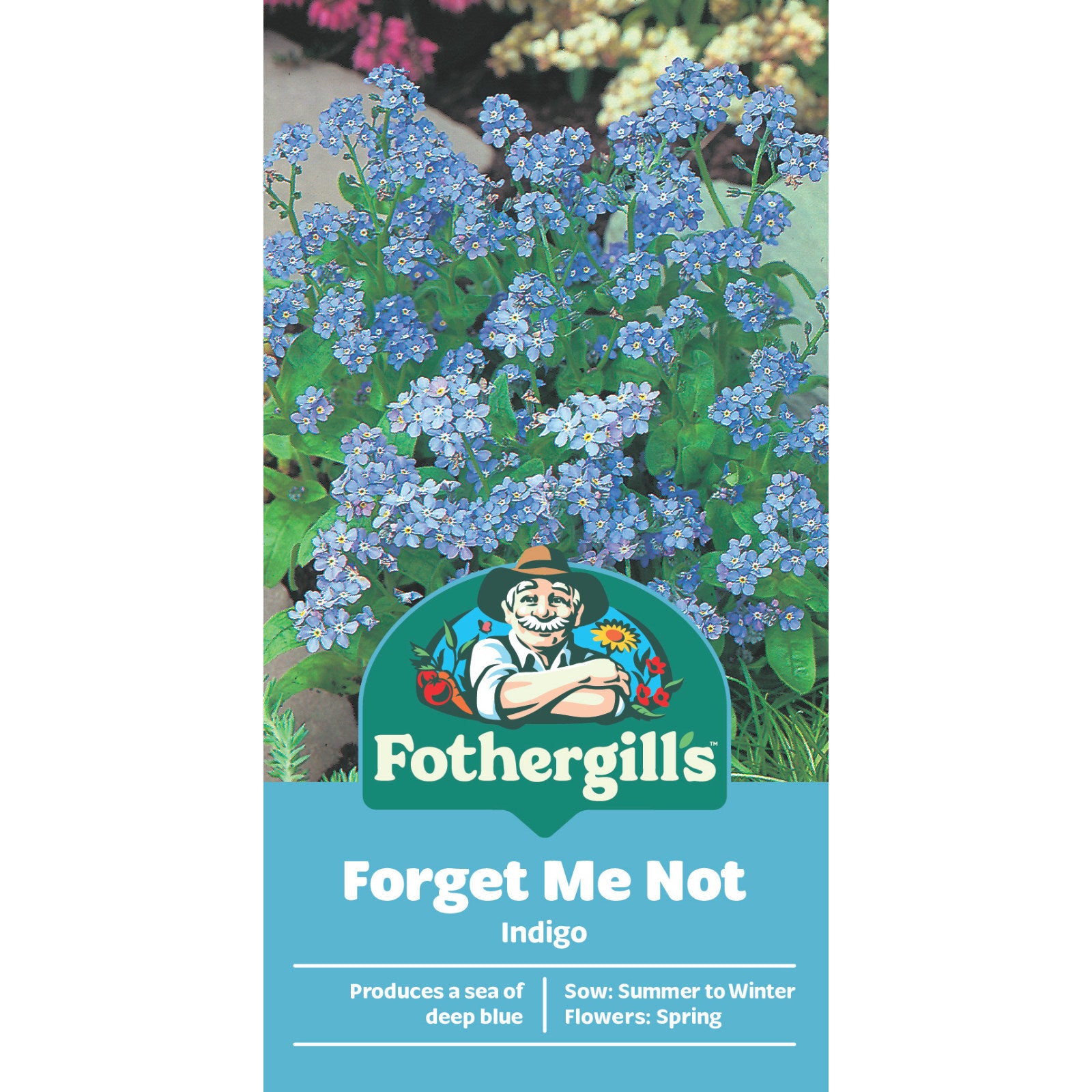 Mr Fothergill's Forget Me Not Flower Seeds - Easy Self-Seeding Border Annual, 30cm
