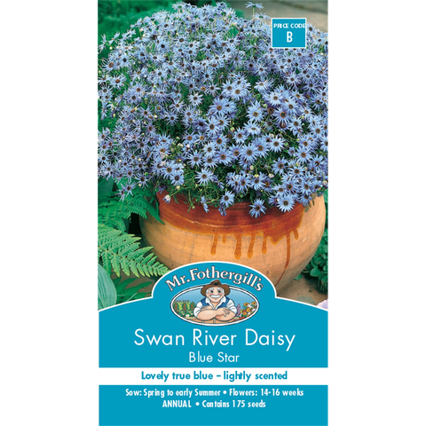 Mr Fothergill's Swan River Daisy Blue Flower Seeds