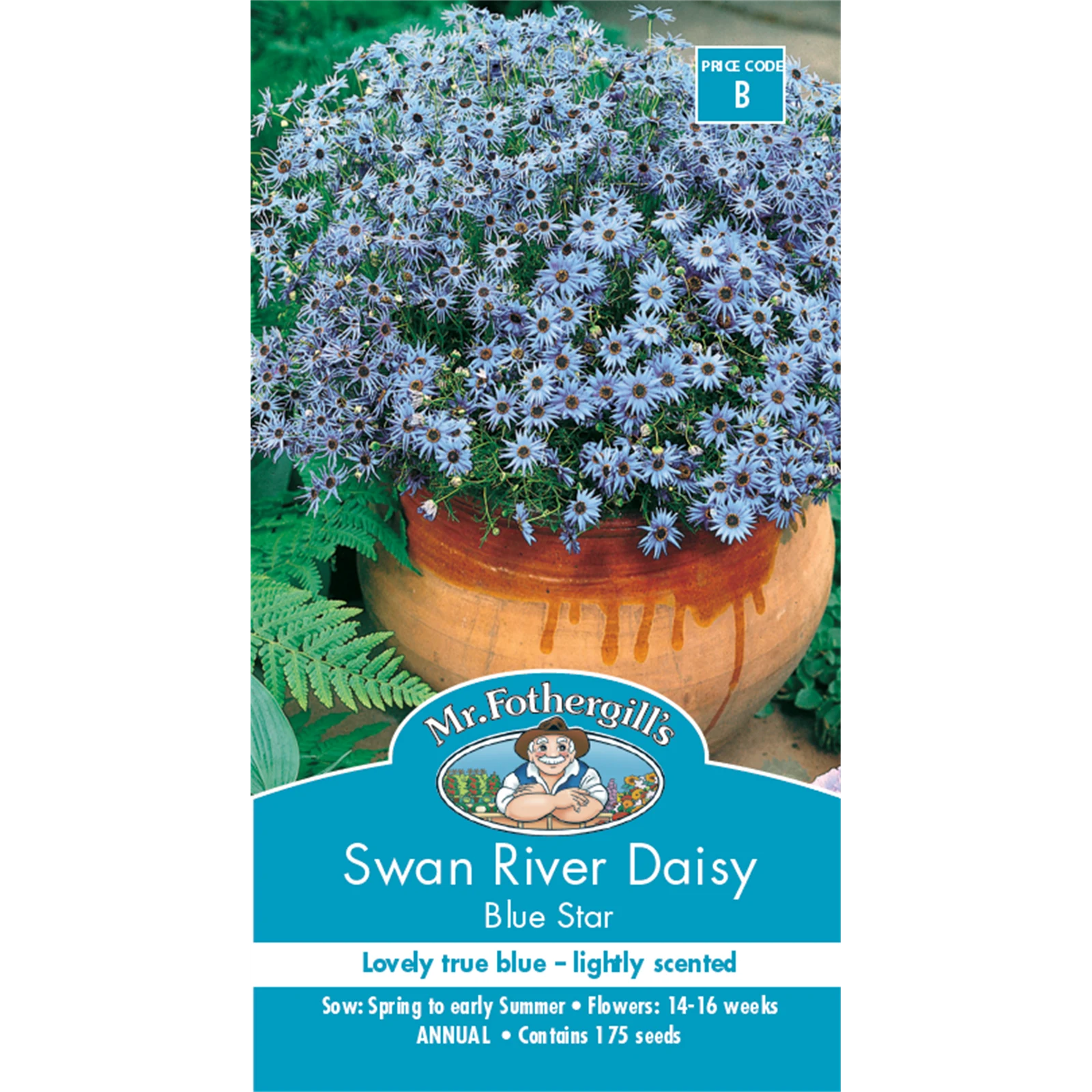 Mr Fothergill's Swan River Daisy Blue Flower Seeds