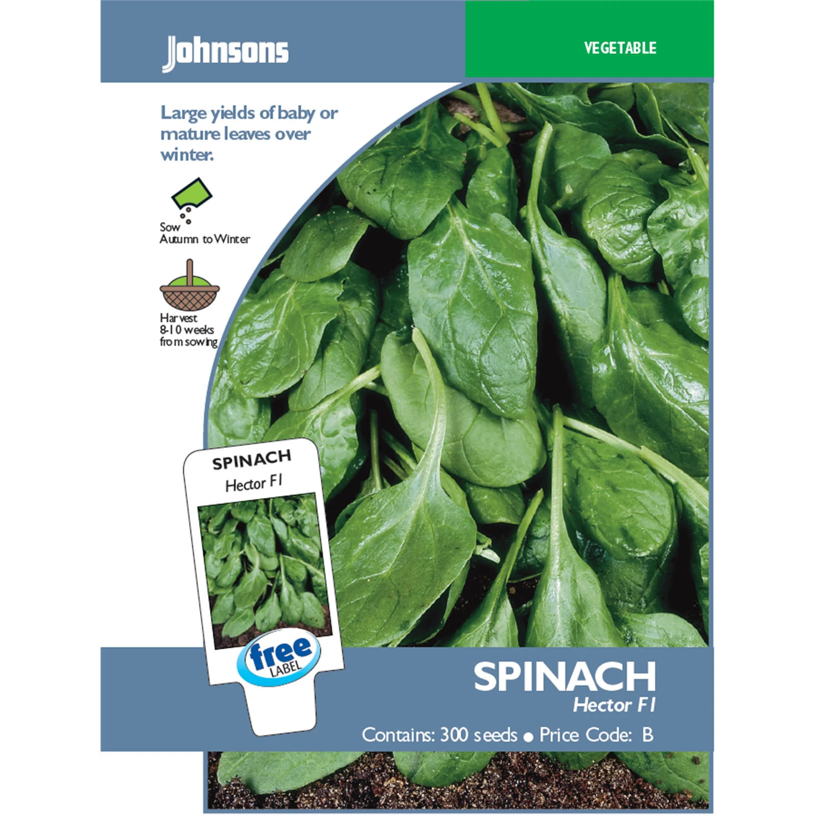 Johnsons Hector Spinach Vegetable Seeds, Bolt-Resistant Baby Leaf