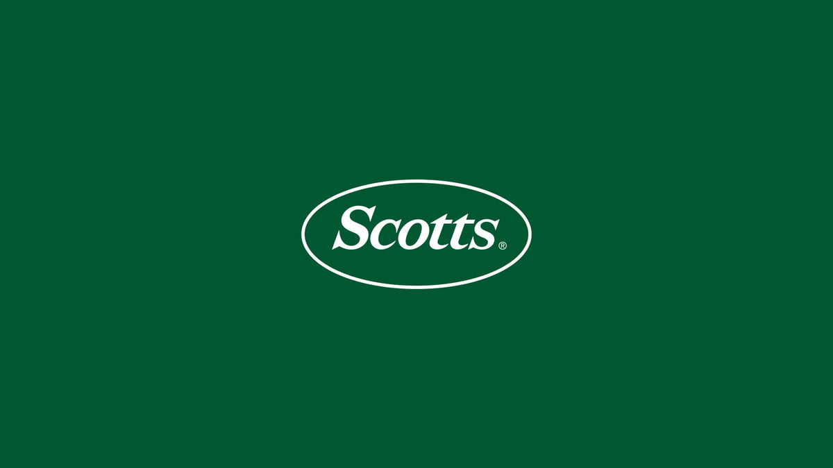 Scotts Lawn Builder All Lawn Types Lawn Food 4kg - Granular Slow Release, Covers 285m2