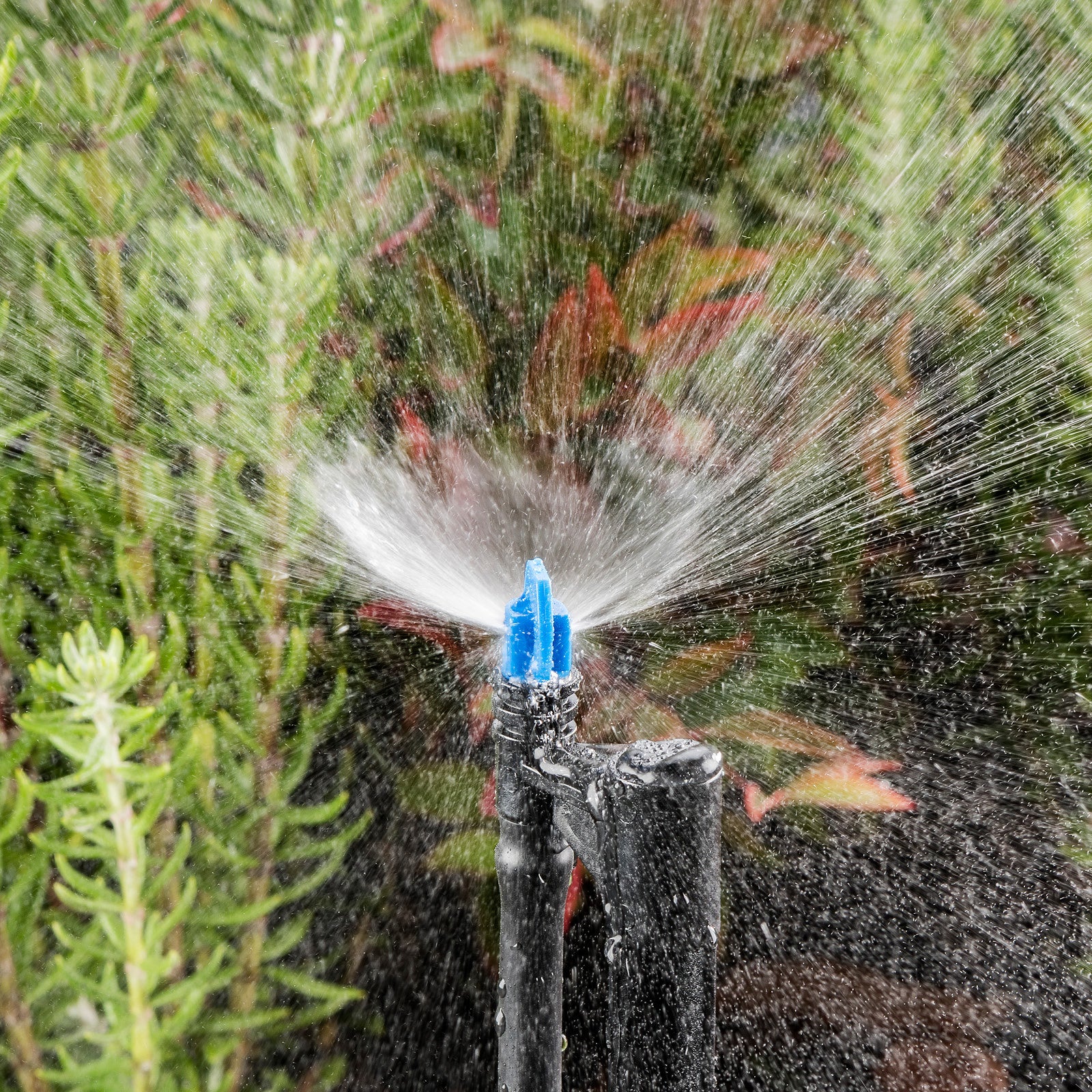 Pope Micro Eze Jet Half Circle Spray 5 Pack, 40L/h Above-Ground Drippers