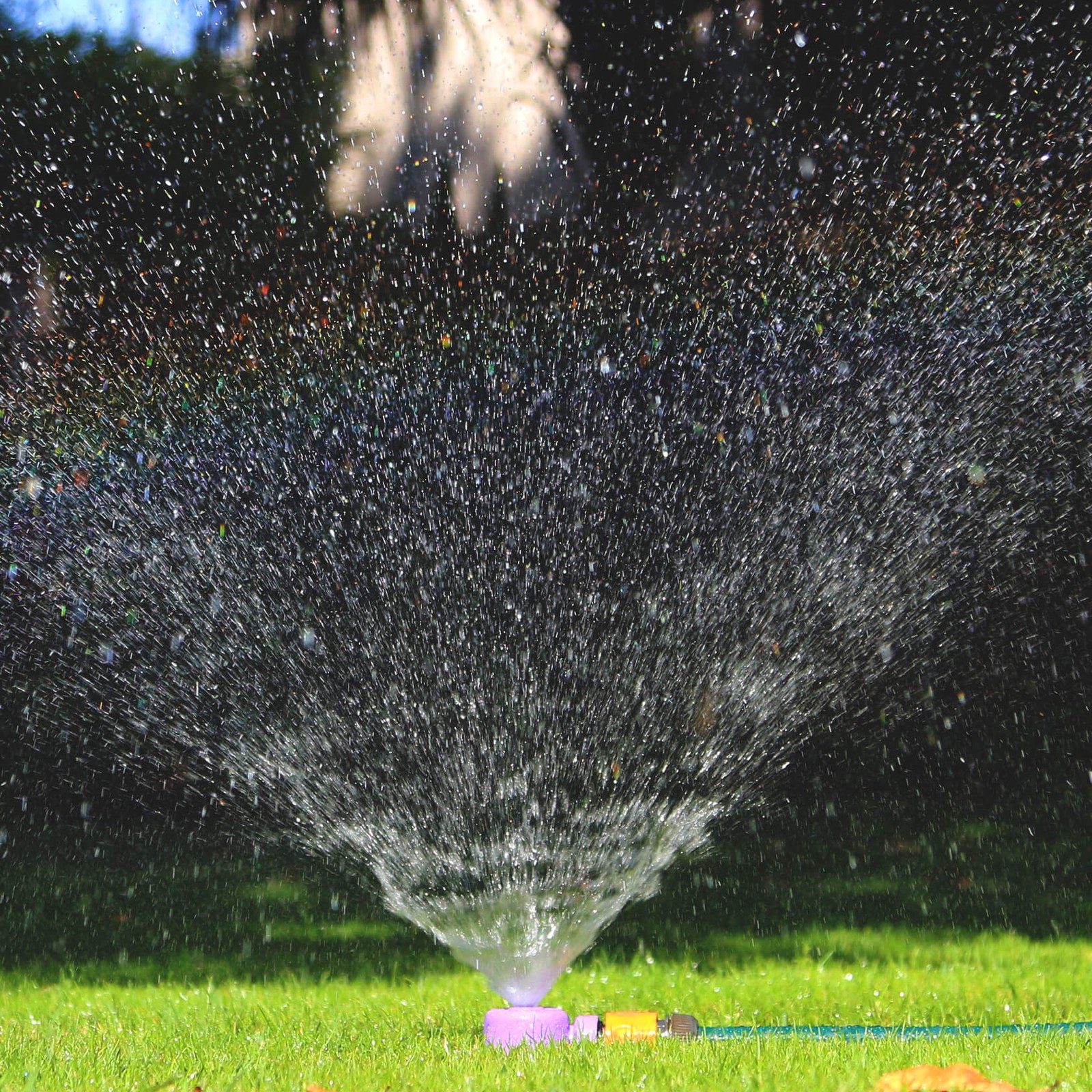 Holman 12mm Purple Dome Hose Sprinkler, Metal Reclaimed Water Lawn Sprinkler