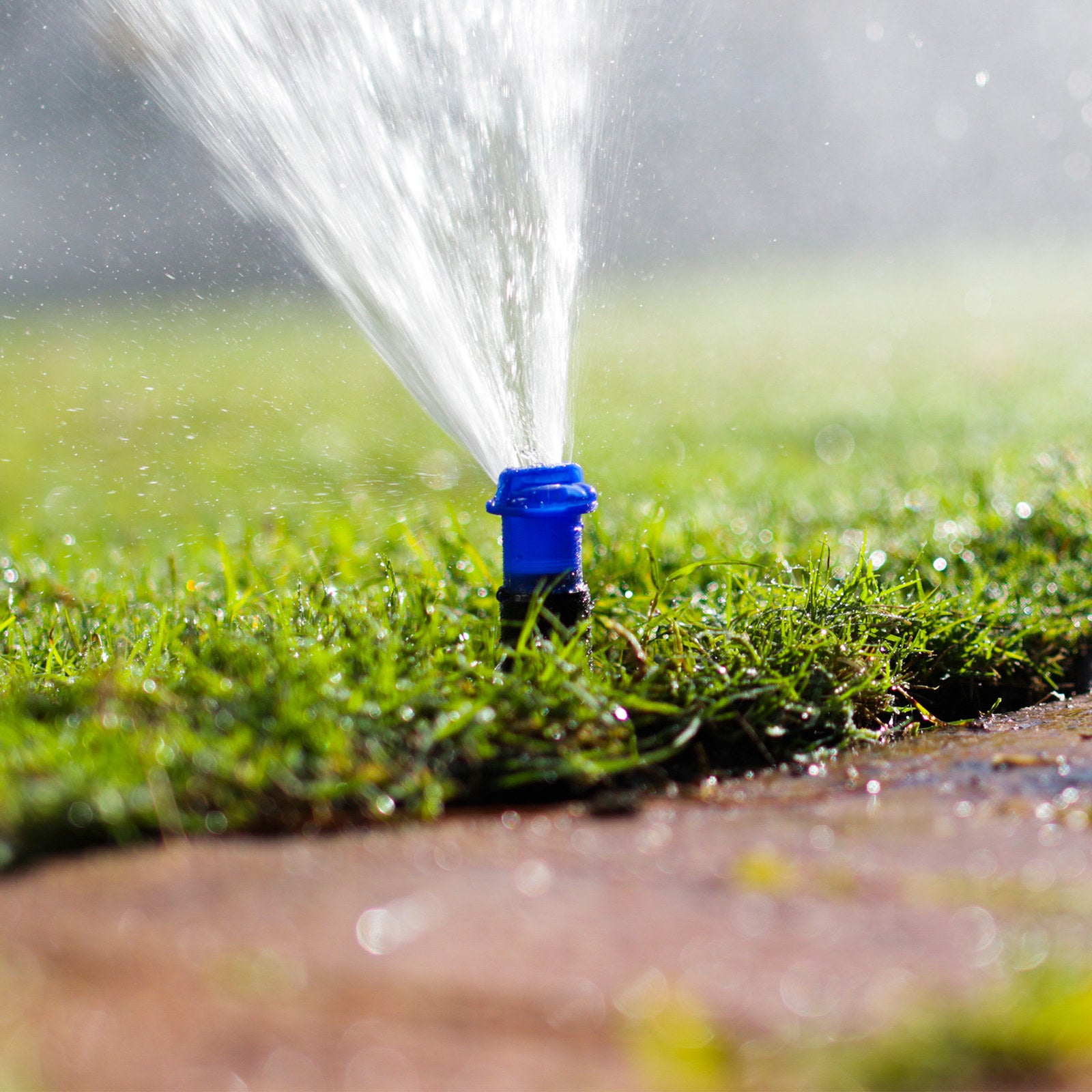K-Rain 100mm Flush Cap PRO-S Popup Sprinkler, Contractor-Grade Irrigation