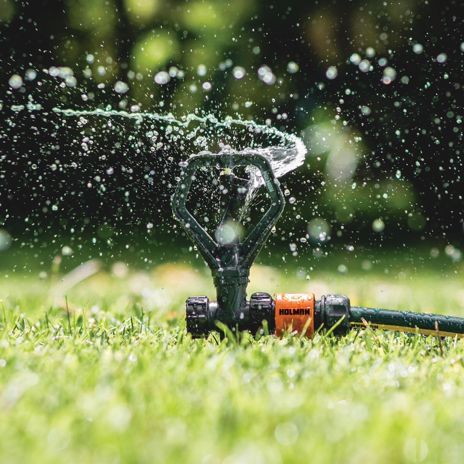 Holman Butterfly Head Sprinkler - Black Plastic Garden Irrigation Sprinkler