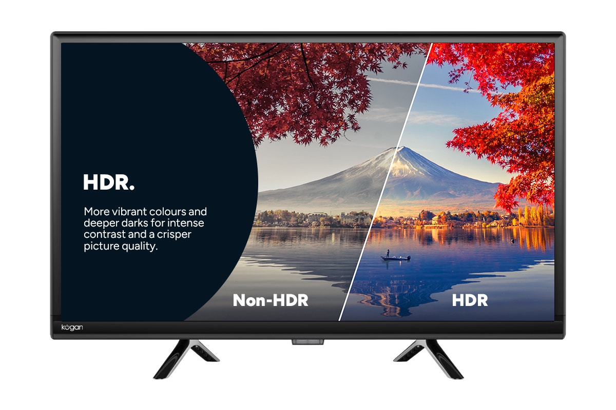 Kogan 24" LED Smart AI Google 12V TV - R98T