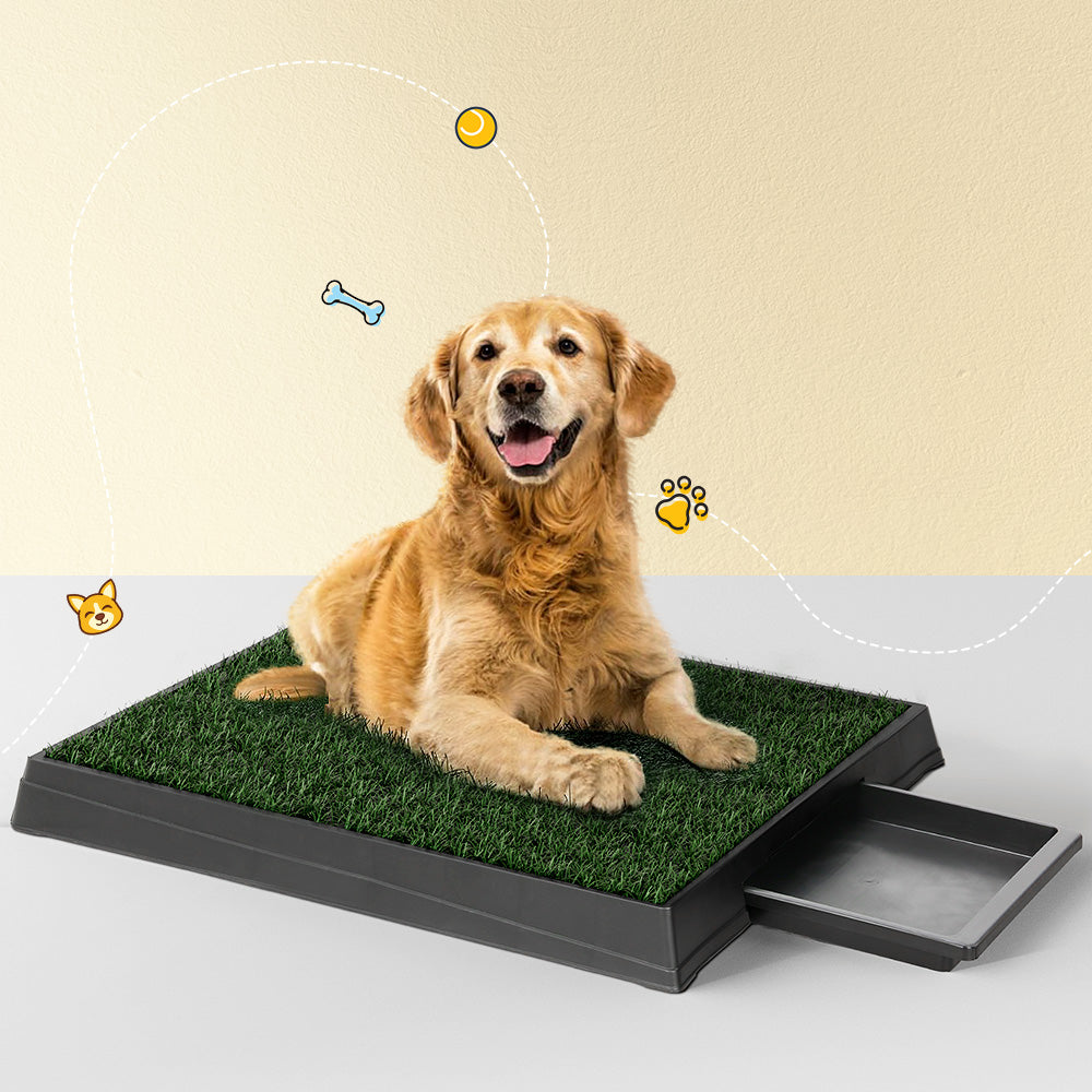 i.Pet Pet Training Tray 64cm x 52cm with 2 Grass Mats, Odorless, Easy Clean - SuperSaverAU - view 7