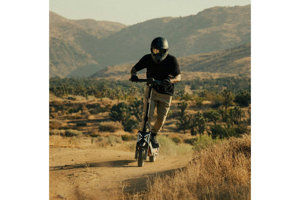 Segway Ninebot ZT3 Pro Electric Scooter