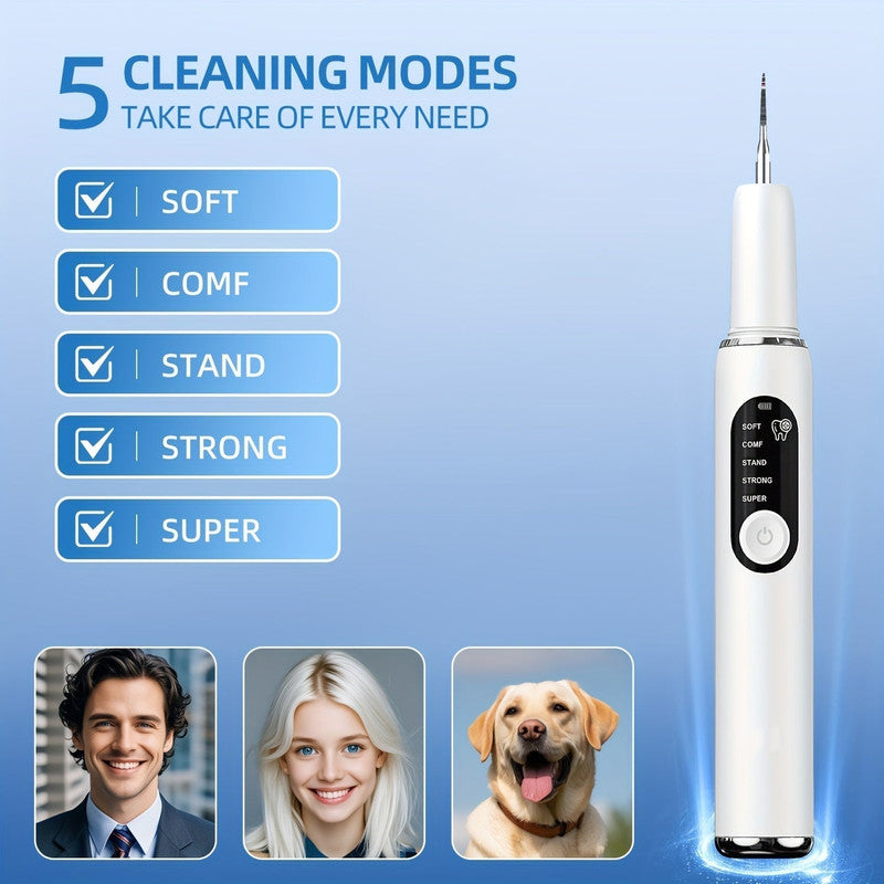 White Rechargeable Electric Tooth Cleaner with LED Light 5 Modes and 2 Heads