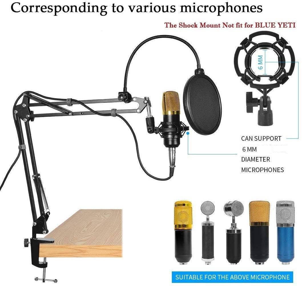 Premium Microphone Broadcasting Boom Arm Stand with Pop Filter