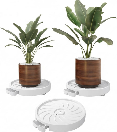CARLA HOME Rolling Plant Stand – 26cm 2 Pack with 360° Wheels, 75kg Capacity