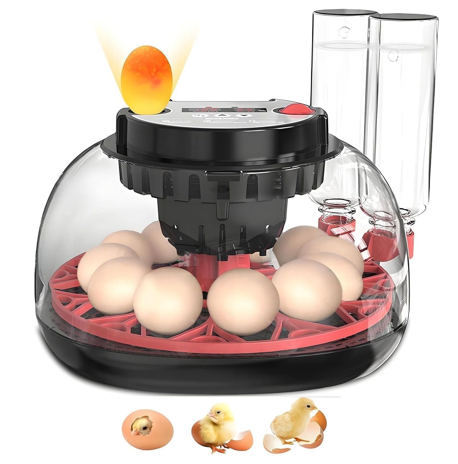 CARLA HOME Automatic Egg Incubator with LED Display & Candler - 12 Egg