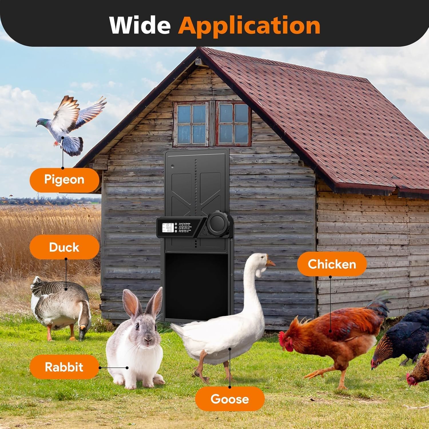 CARLA HOME Solar Automatic Chicken Coop Door with Remote & LED Screen