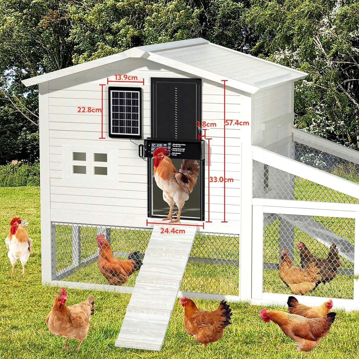 CARLA HOME Solar Automatic Chicken Coop Door with 4 Modes & Anti-Pinch